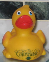 Rubber Ducky.