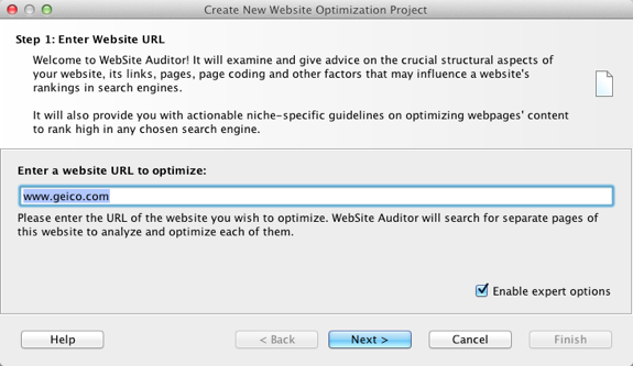 website-auditor-enter-url