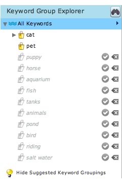 keyword group explorer